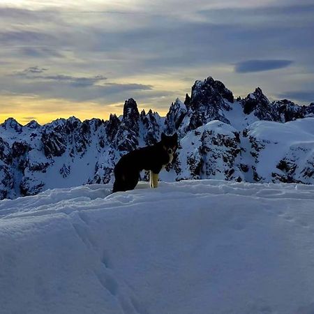 Appartamento Daniela Dolomiti. Auronzo di Cadore Ngoại thất bức ảnh