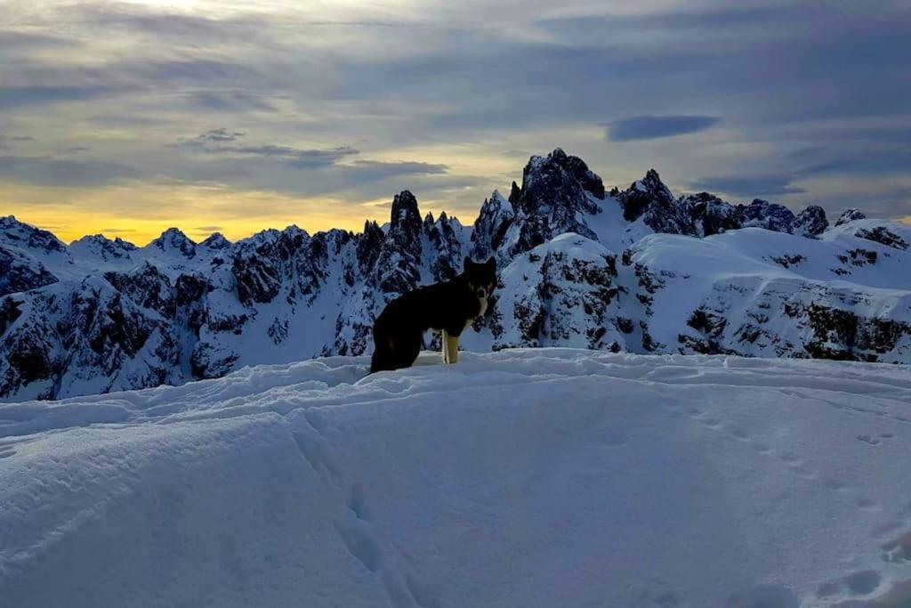 Appartamento Daniela Dolomiti. Auronzo di Cadore Ngoại thất bức ảnh